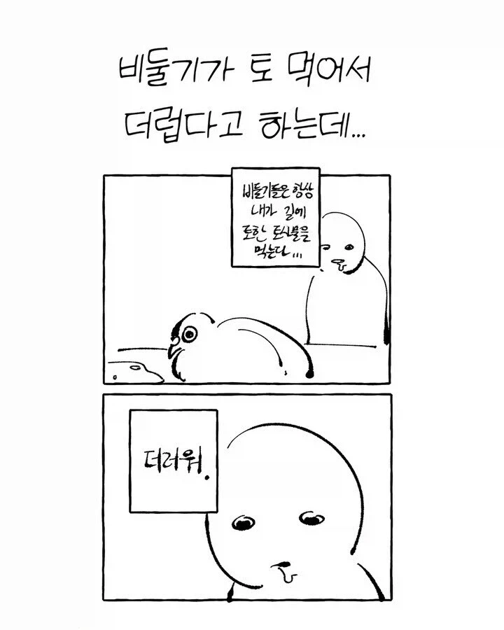 비둘기가 귀여운 만화_8.webp