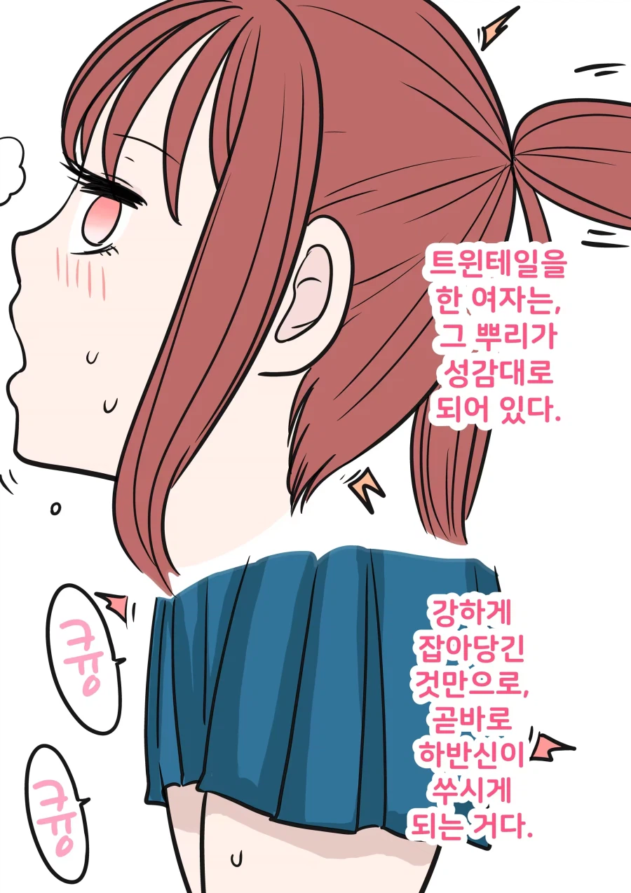 트윈테일의 상식_1.webp