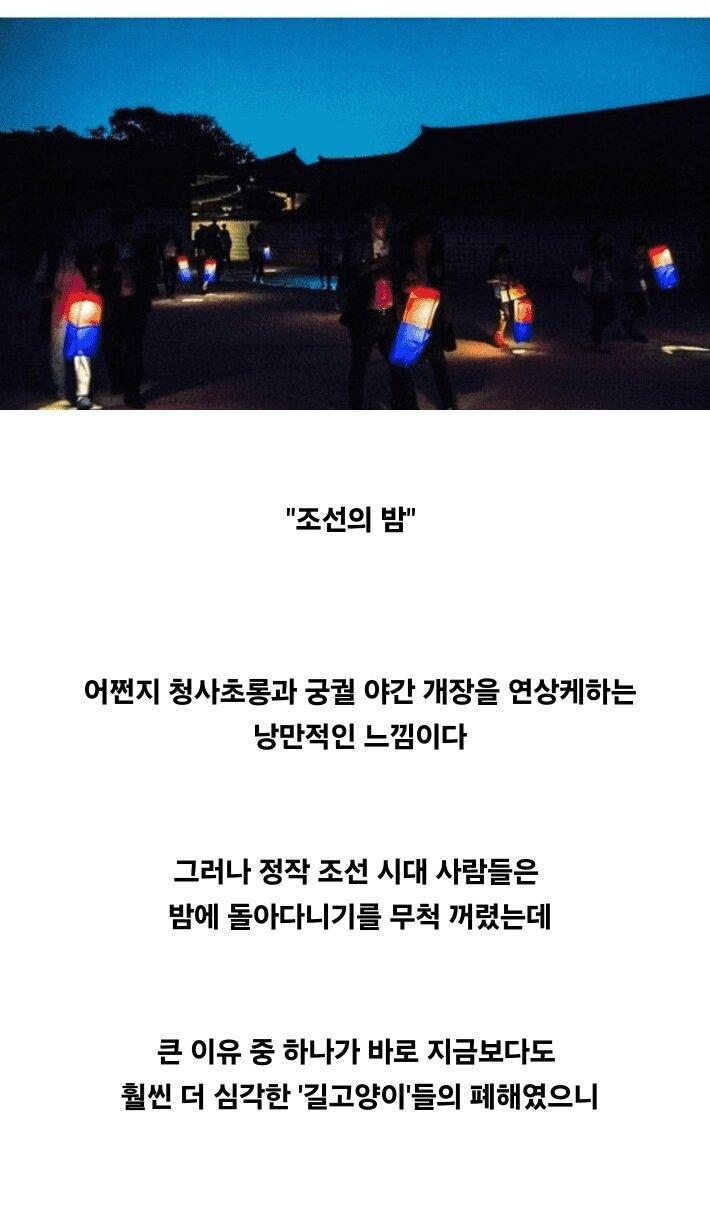 조상님들이 밤에 외출을 꺼린 이유