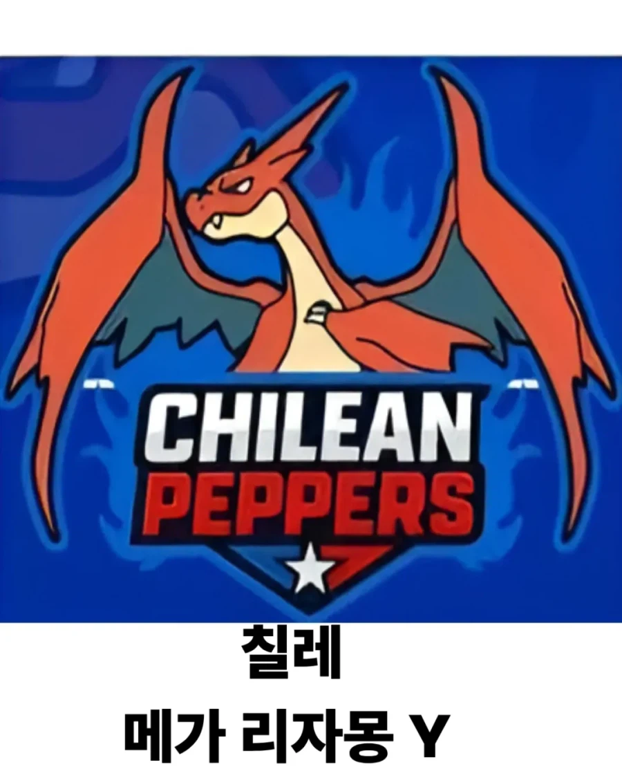 포켓몬 카드 대회 국가별 로고_3.webp