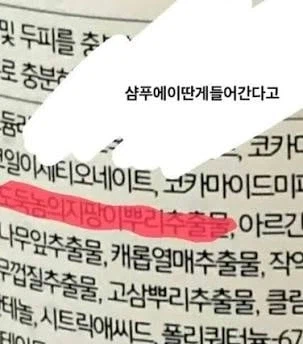 라면에는 파랑버섯이 들어간다.