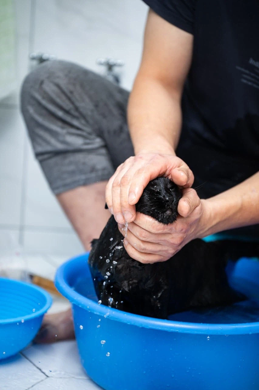 똥괭아 너 인물났다 어디 가지마라!_8.webp