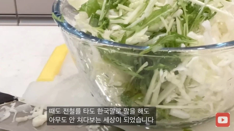 2000년초반 일본에 시집간 한국 아줌마가 아이돌에게 감사하는 이유_5.webp