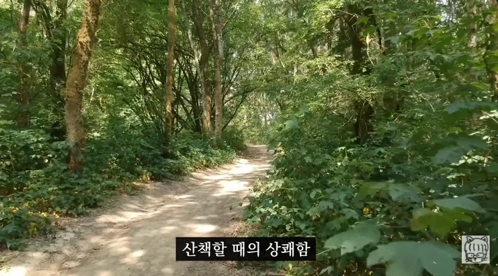 숏폼 중독이 무서운 뇌과학적 이유_55.webp