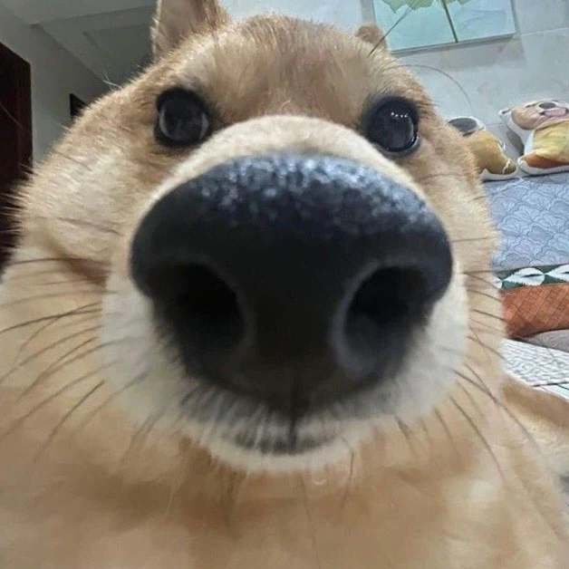 유게이들 진짜 40대야?