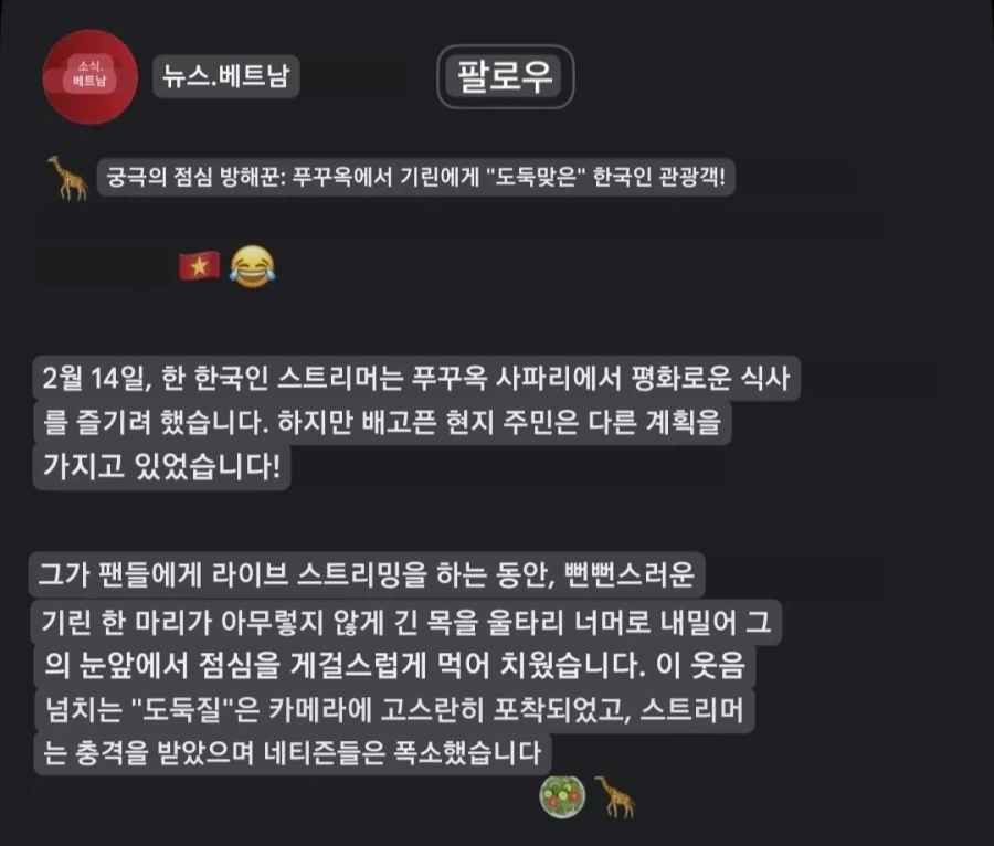 한국 스트리머 먹방, 베트남에서 좋은 반응 얻다