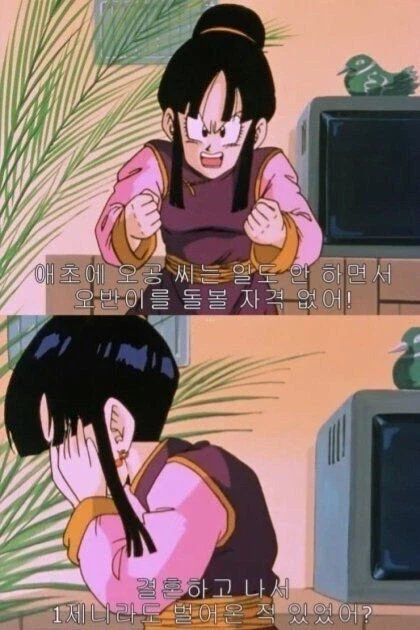 독박육아라는 표현을 쓰는게 가능한 극소수의 여성