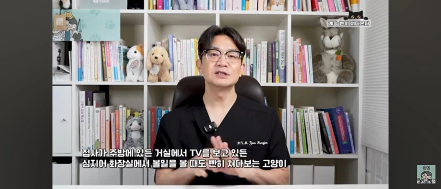 고양이가 집사를 