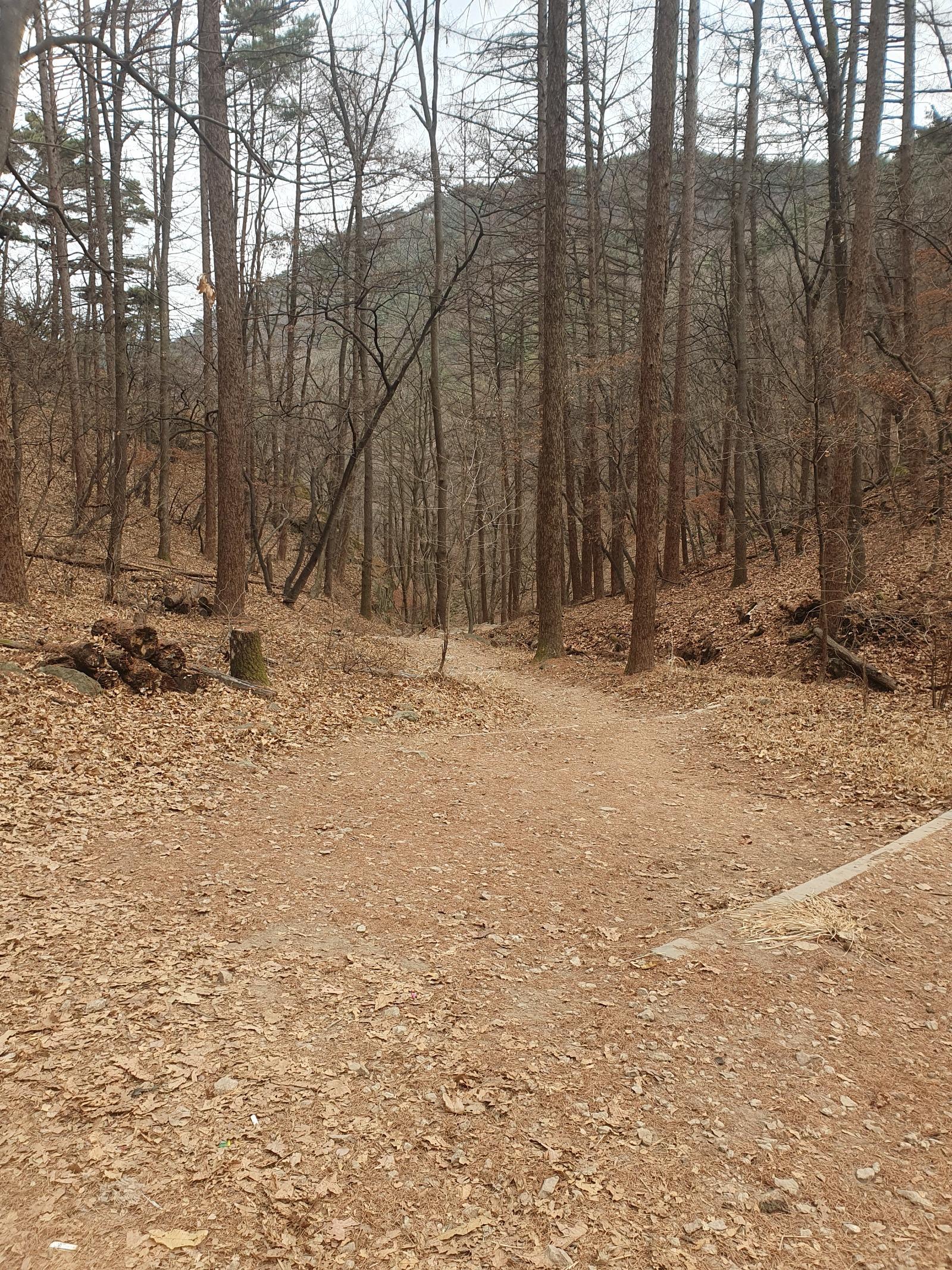 아 간만에 4시간 넘게 등산했더니