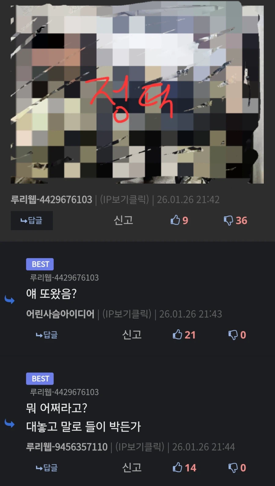 중혐 빌런 근황_8.webp