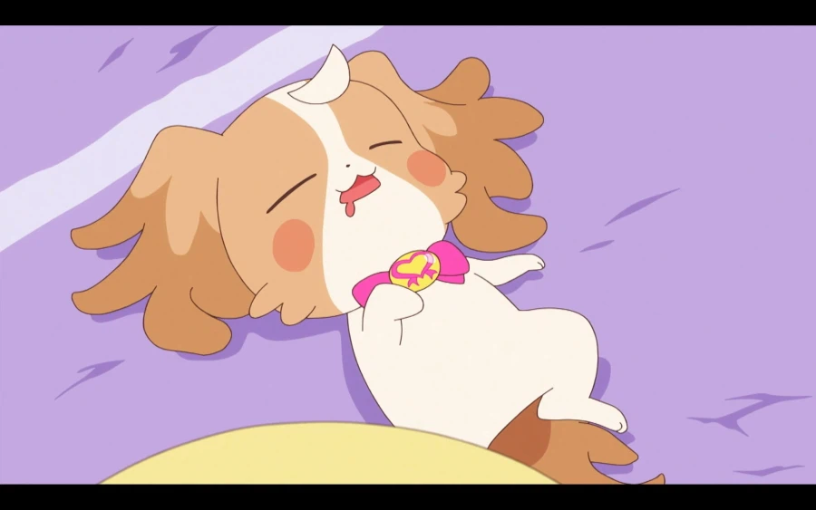 별의별 유형이 다 있는 역대 프리큐어.jpg_13.webp