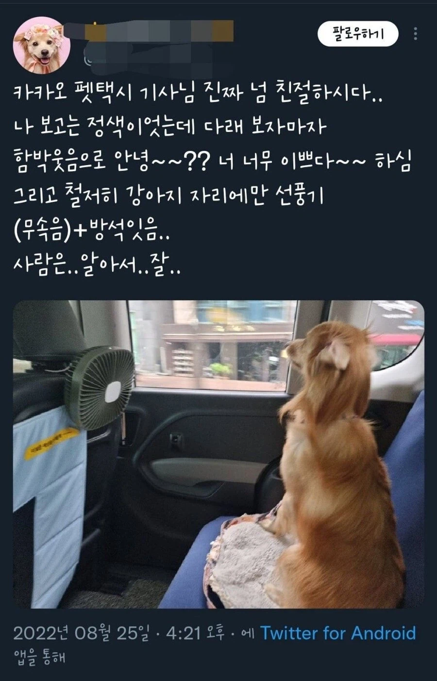 택시 기사님이 나보고 정색함...