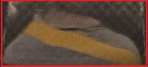 2찍조루타기는 '본문'을 안 읽는구나 ㅜㅠ