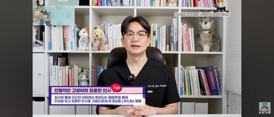 고양이가 집사를 