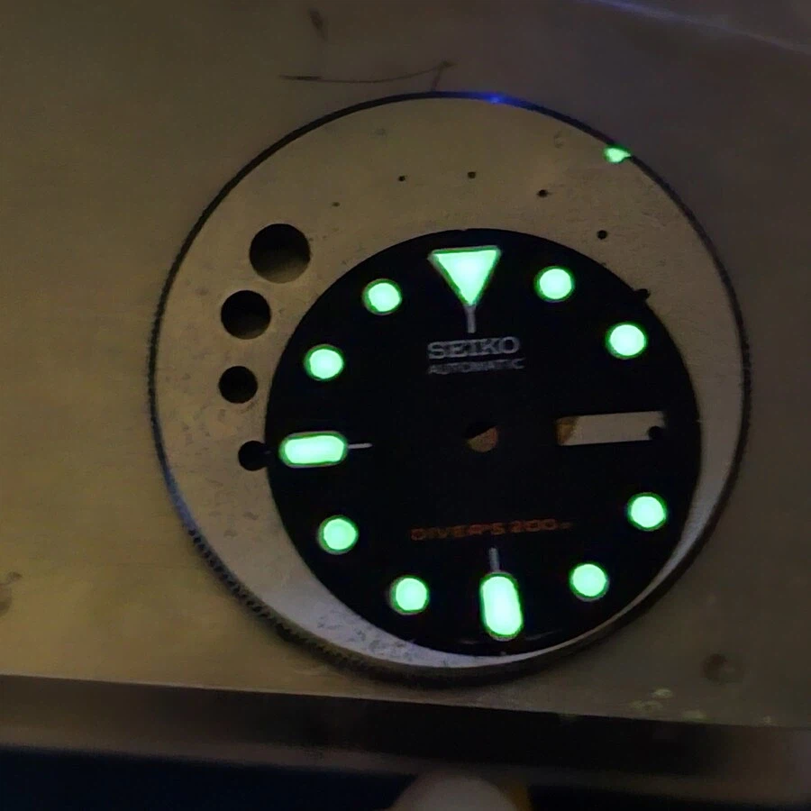 산호초 시계 에디션_14.webp