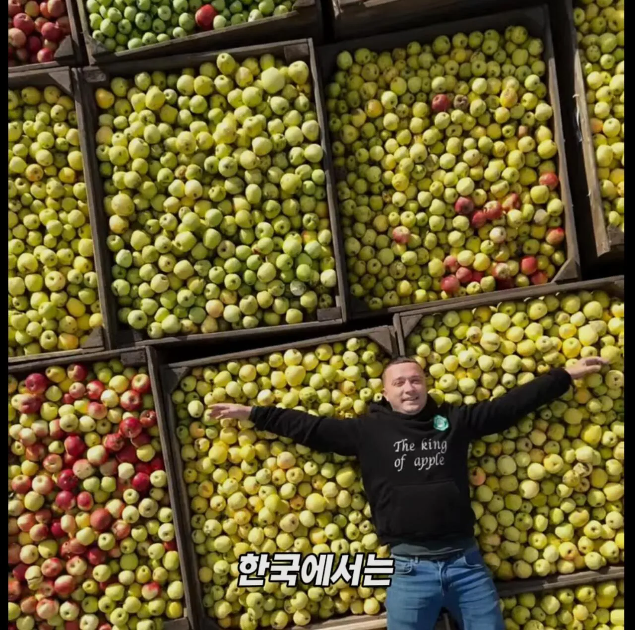 미국 사과가 1Kg 에 2000원대인 이유