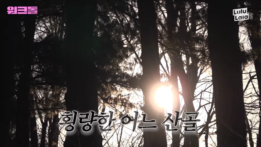 들개 잡으러 떠난 여자아이돌