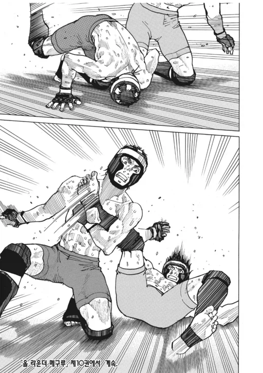 수싸움과 전략의 묘미가 좋았던 종합격투기(슈토) 만화_27.webp