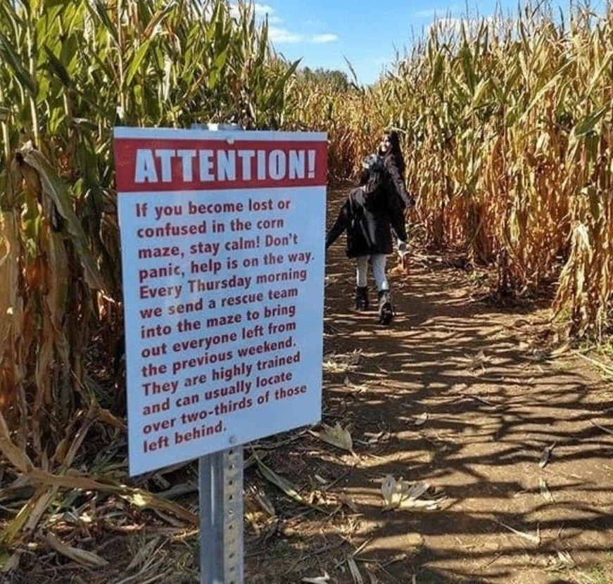 정말로 미국 옥수수밭에서 실종 사고가 일어날까?_1.webp