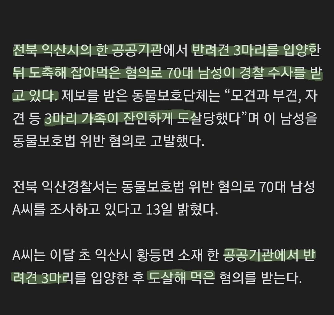 공공기관서 입양한 개 3마리 당일 도살한 70대