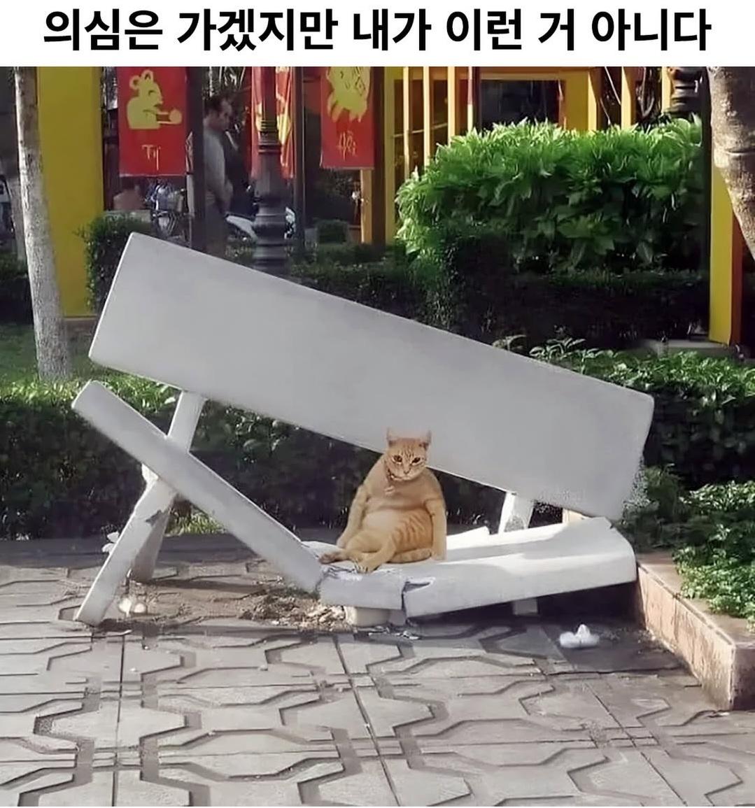 당근나물의 인식수준 ㅋㅋㅋㅋㅋ