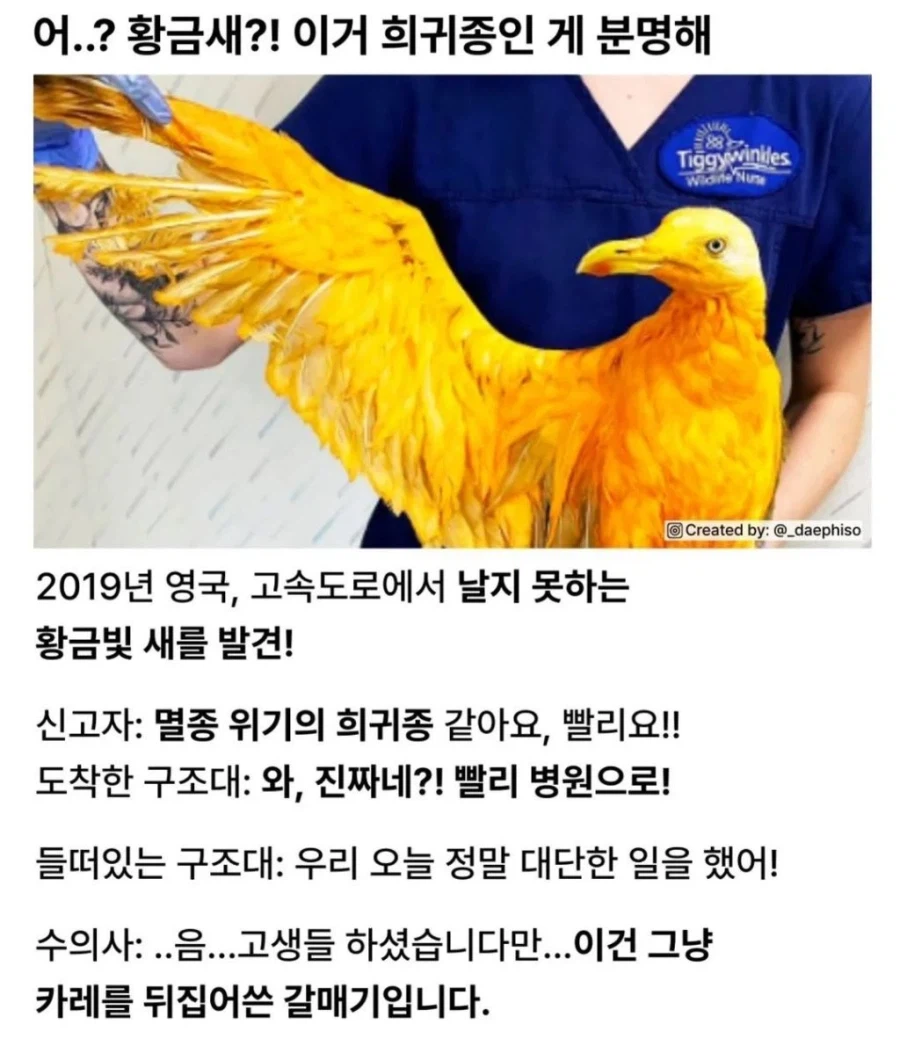 19년 노랑통닭 영국에 진출 성공