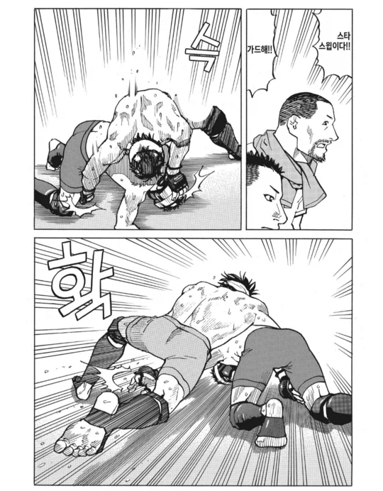 수싸움과 전략의 묘미가 좋았던 종합격투기(슈토) 만화_9.webp