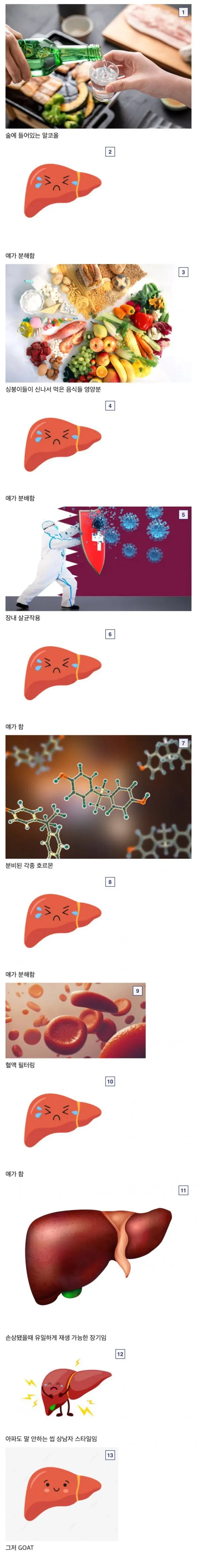 무조건 중요한 신체 부위_1.webp