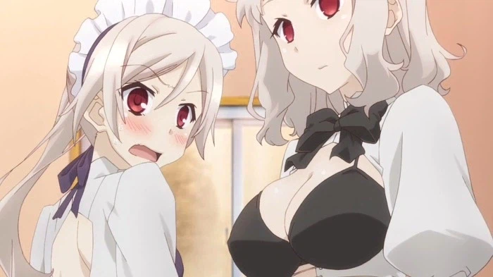 페이트) 외전 한정 정실캐