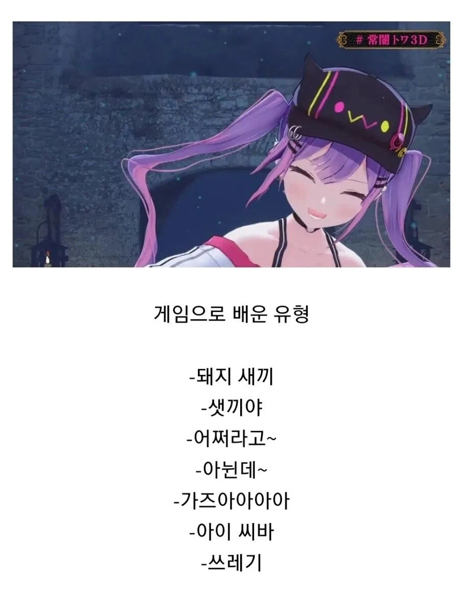 버튜버가 한국어를 배우는 방식.jpg_3.webp