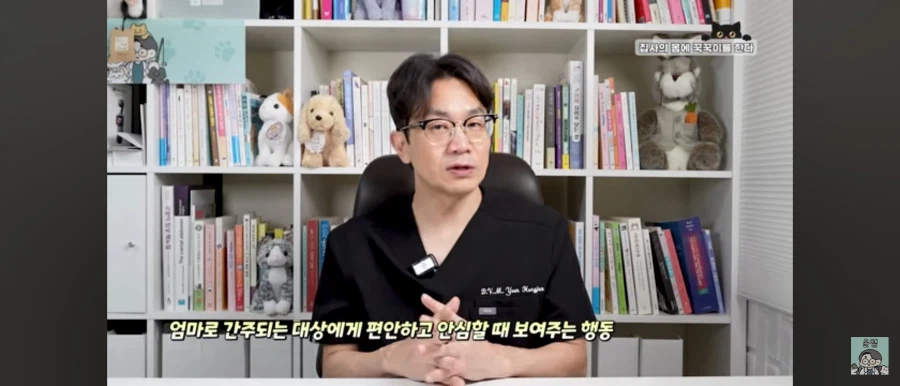 고양이가 집사를 