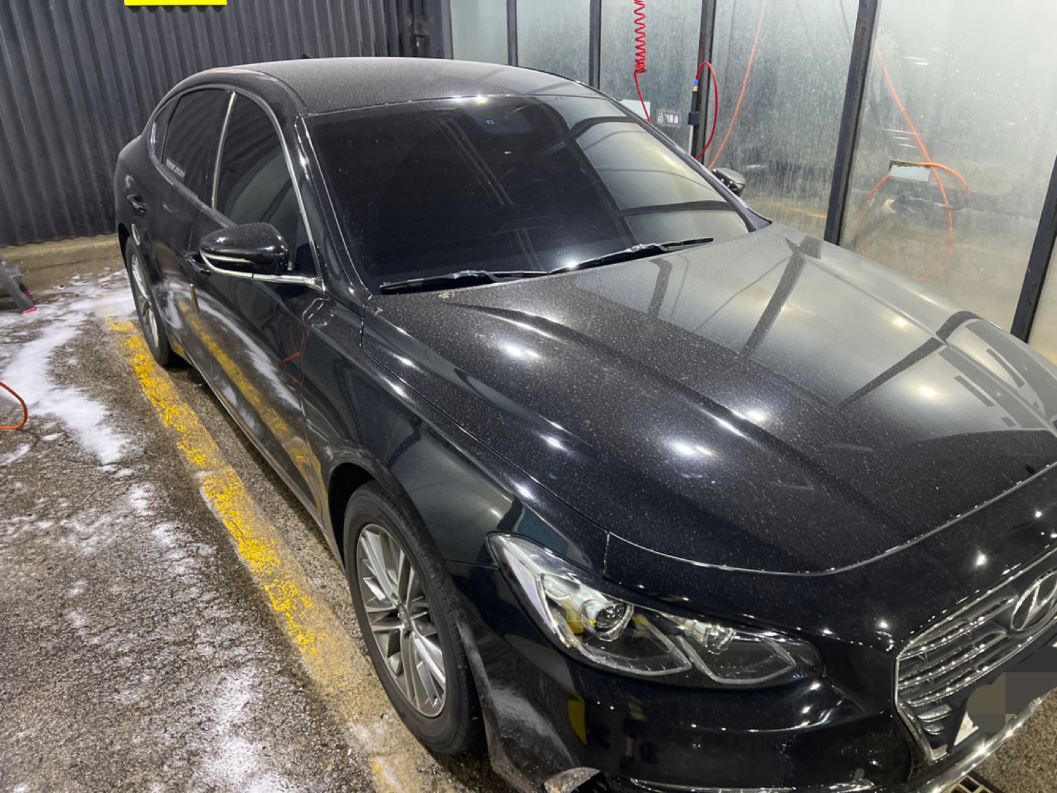 강동랜져도 목욕시킷음니다;