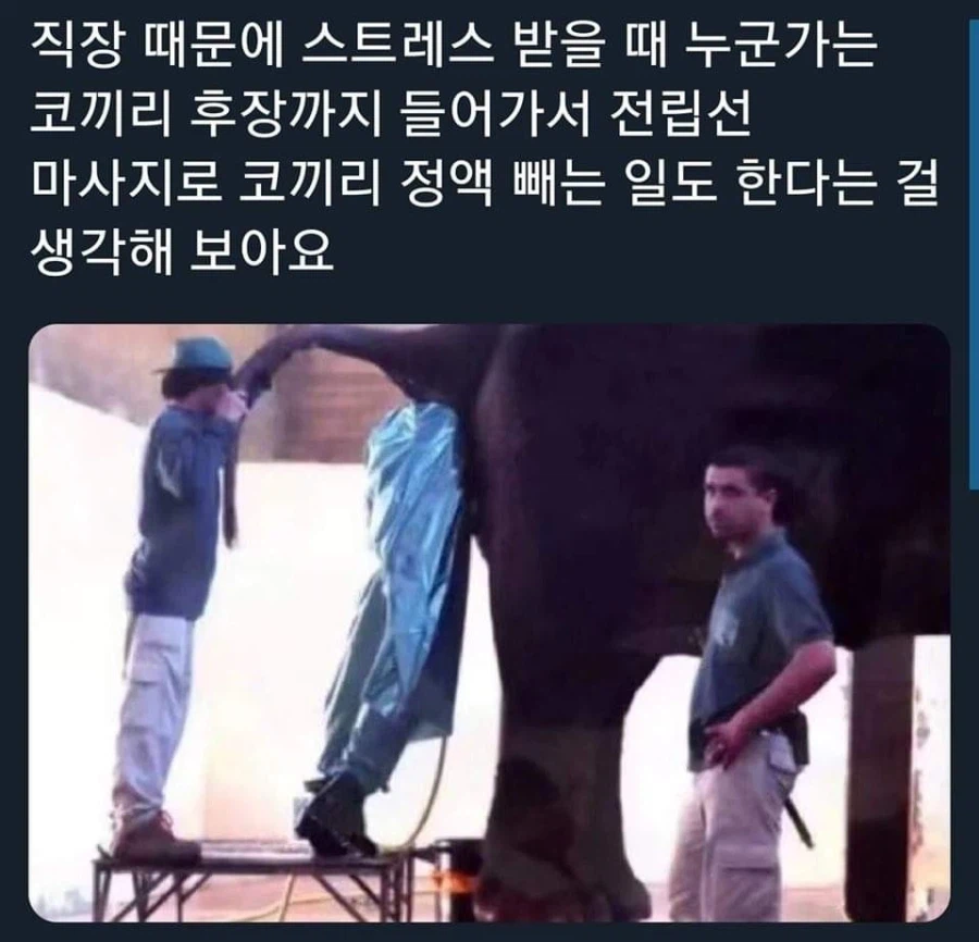 직장 때문에 스트레스.jpg