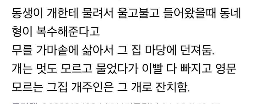 야만의 시대(?) 예전 시골, 사람 공격하던 개들 결말.jpg_4.webp