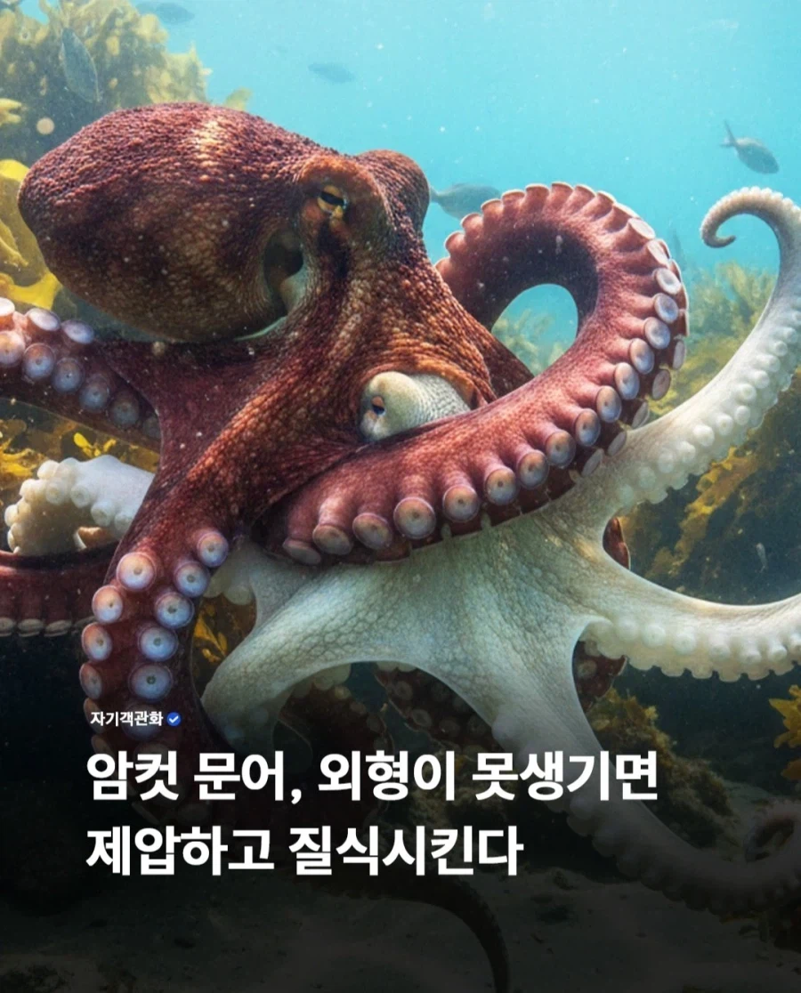 죄송한데 번호좀 알 수 있그그ㅡㅡ긓ㄱ커거컥ㄱ...