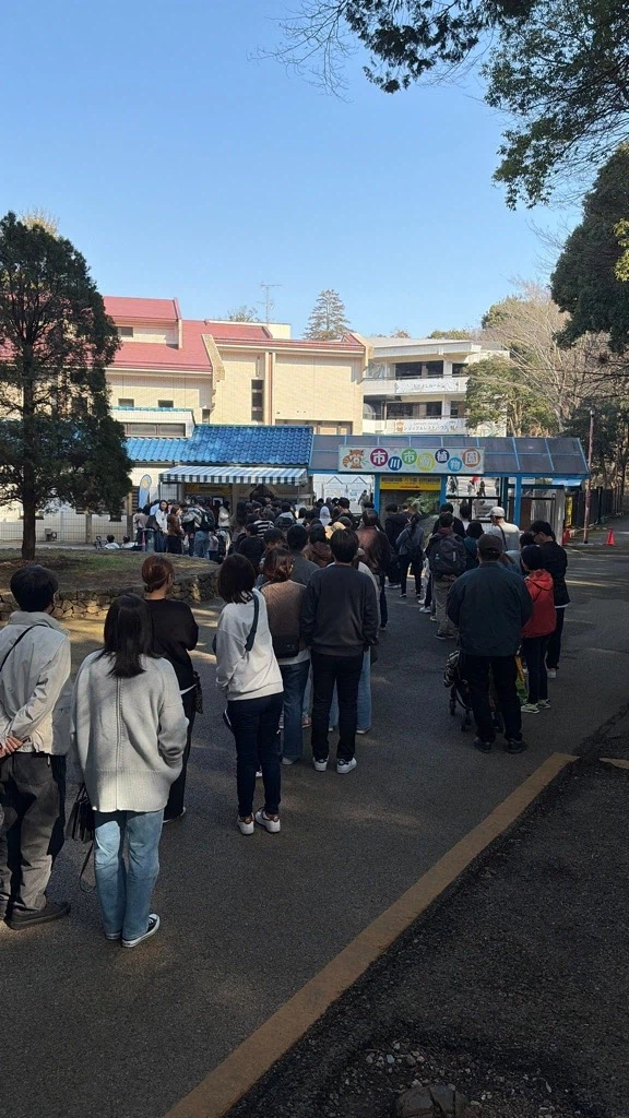 현재 일본 동물원에서 최고 흥행 중인 새끼 원숭이_7.webp