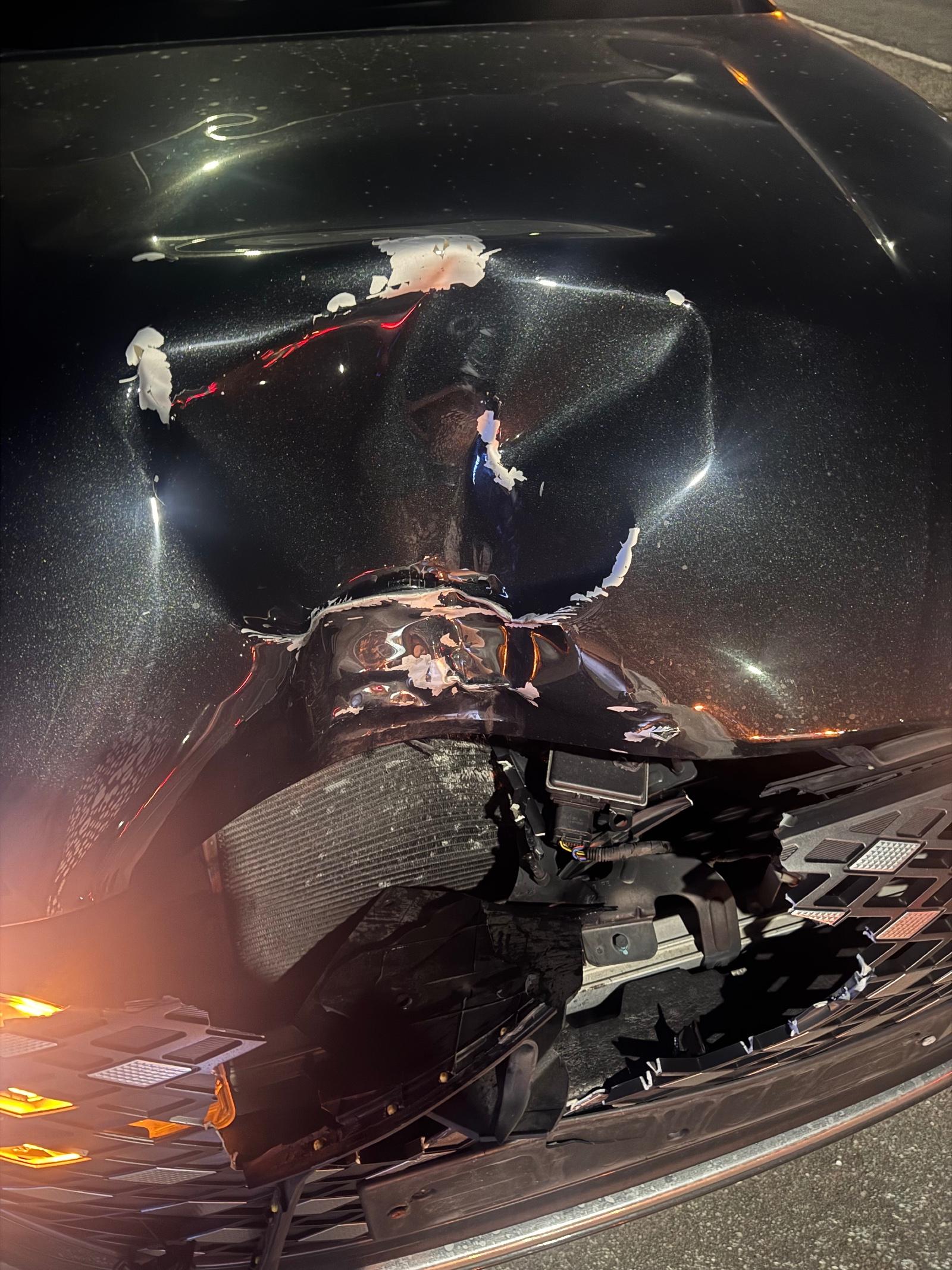 사고 블랙박스 영상 부탁드립니다