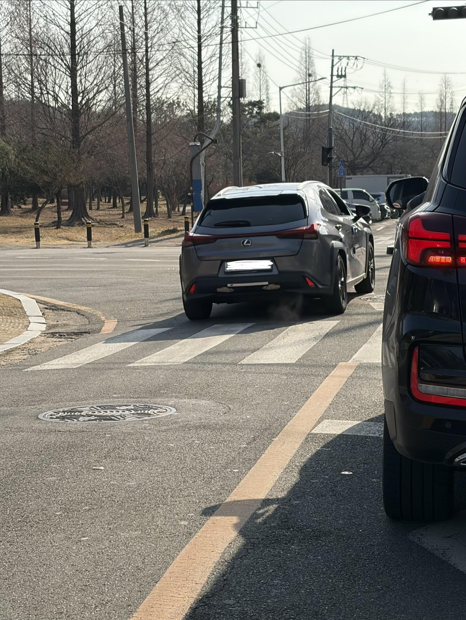 역주행으로 신호대기하는 렉서스 쓰레기