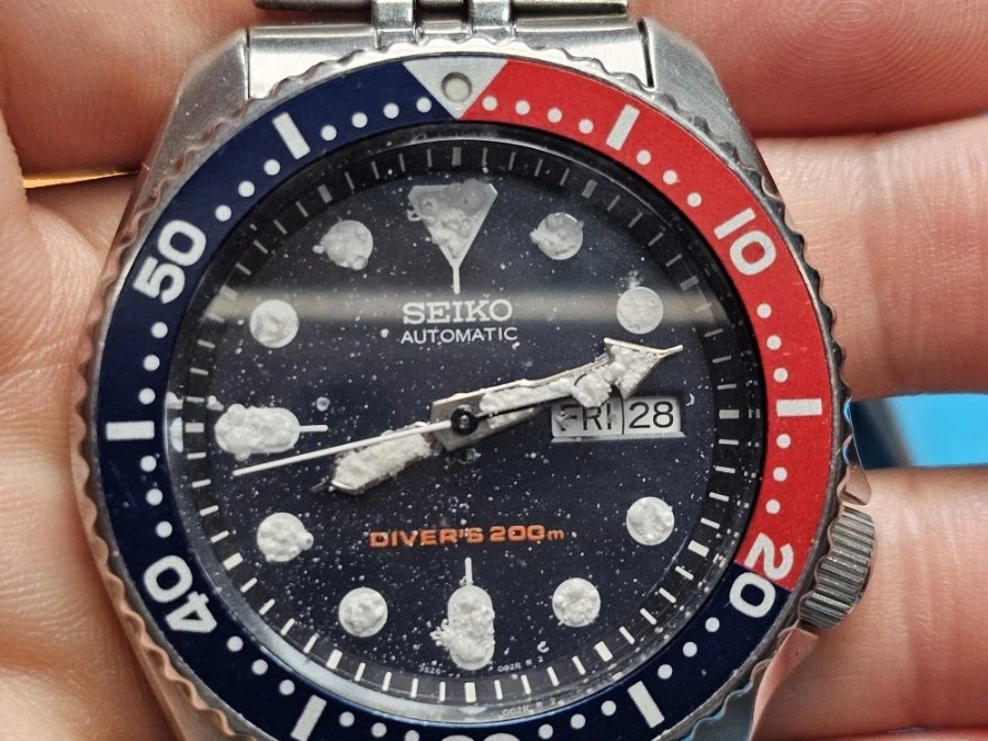 세이코 산호 에디션_2.webp