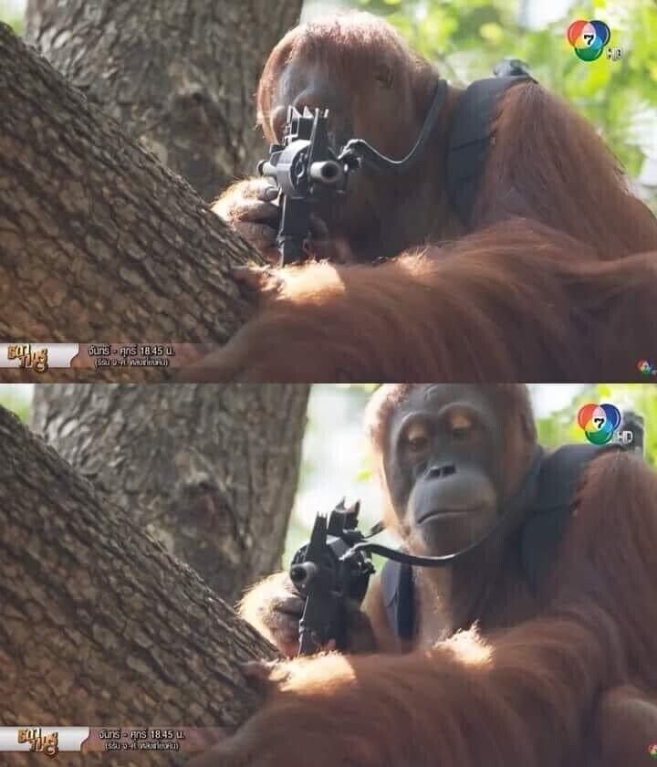 사실 커뮤 평에 비해 나름 볼만한 영화.movie_3.jpg