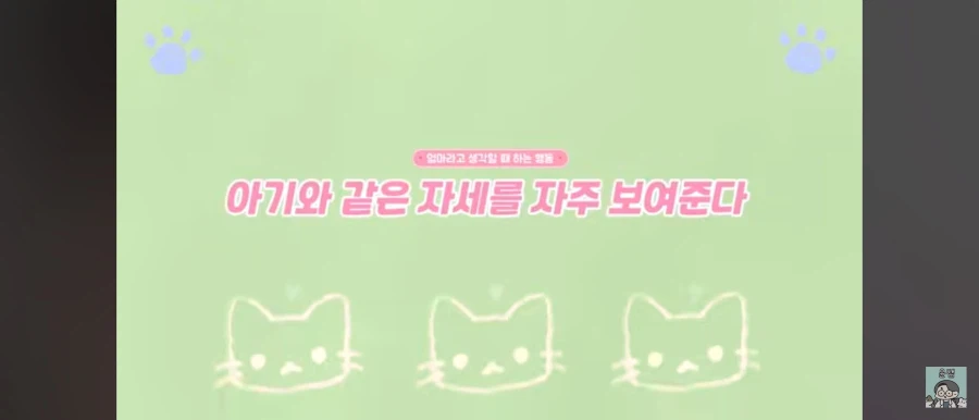 고양이가 집사를 