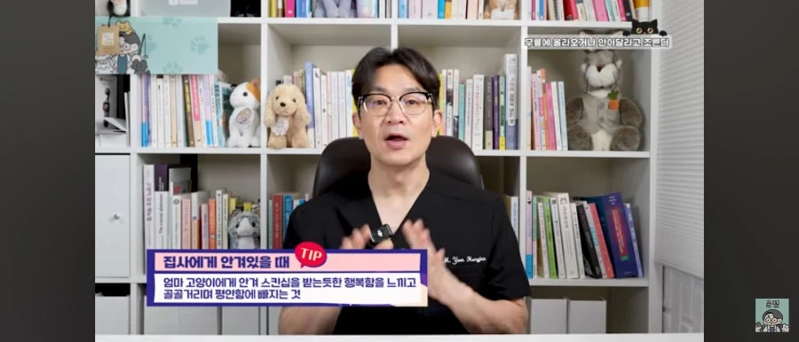 고양이가 집사를 