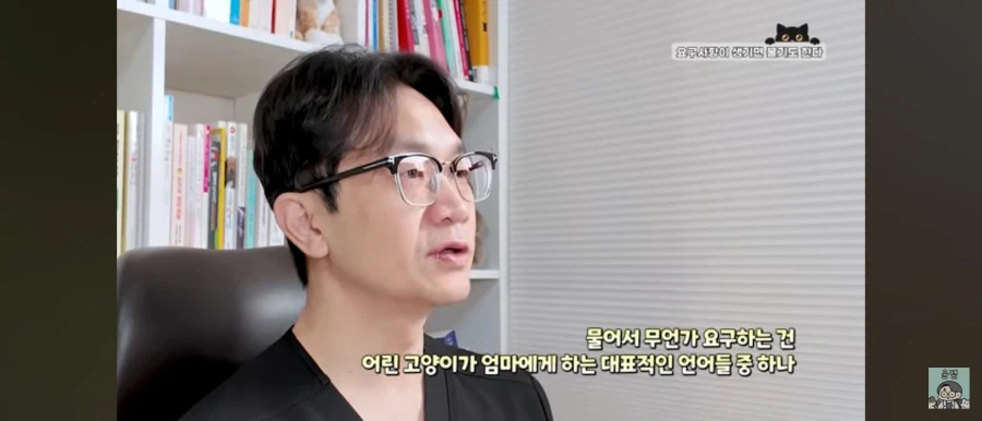 고양이가 집사를 