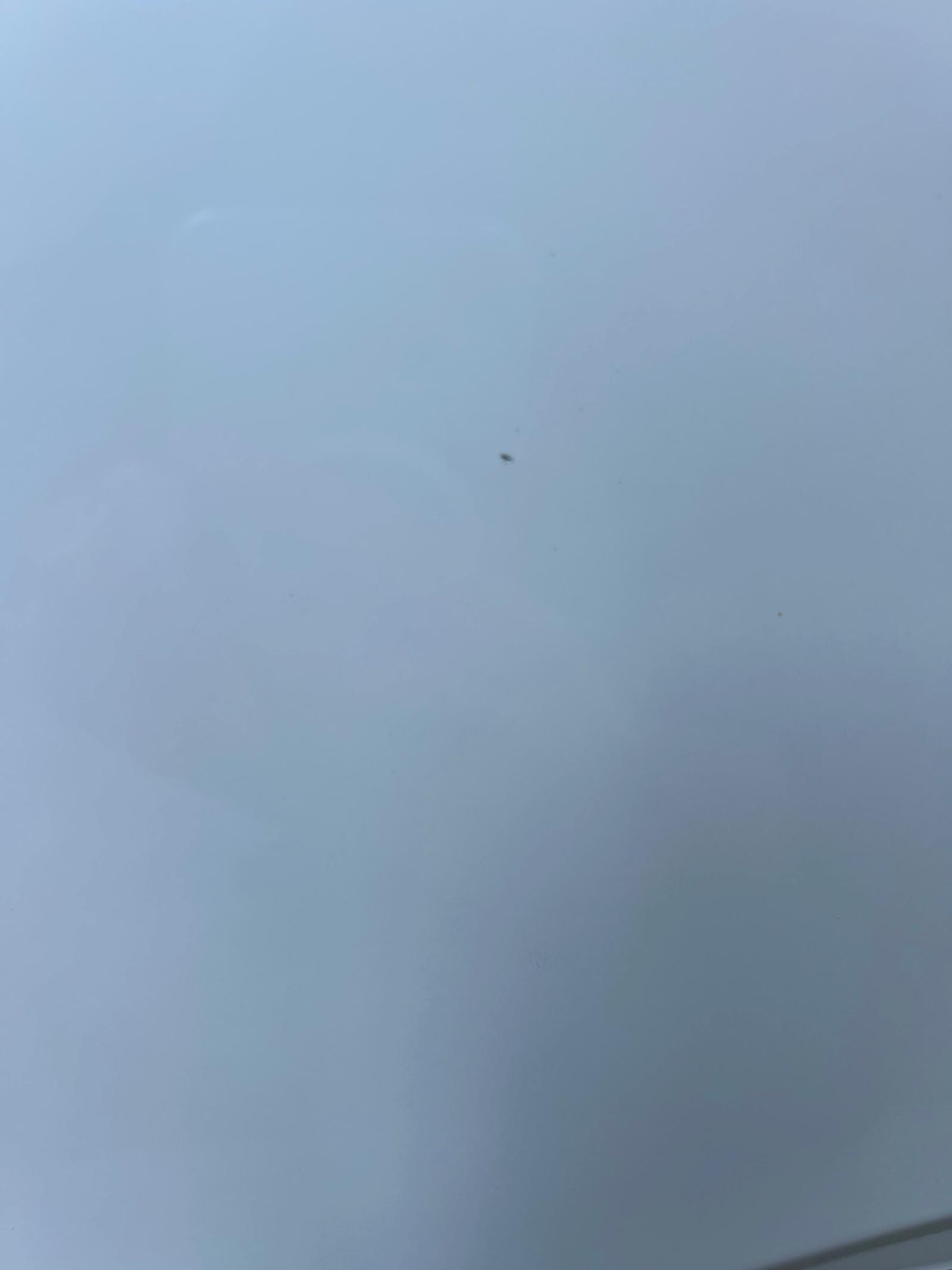 돌빵인지 문콕인지 여쭙고 싶습니다.