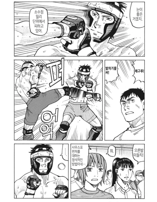 수싸움과 전략의 묘미가 좋았던 종합격투기(슈토) 만화_7.webp