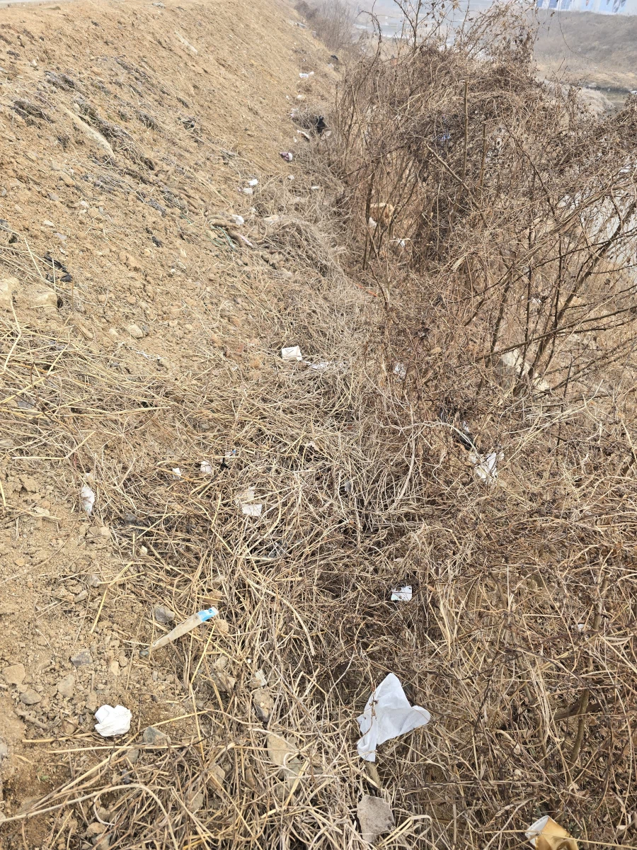 아침부터 하천 비탈길에서 쓰레기 주운 유게이