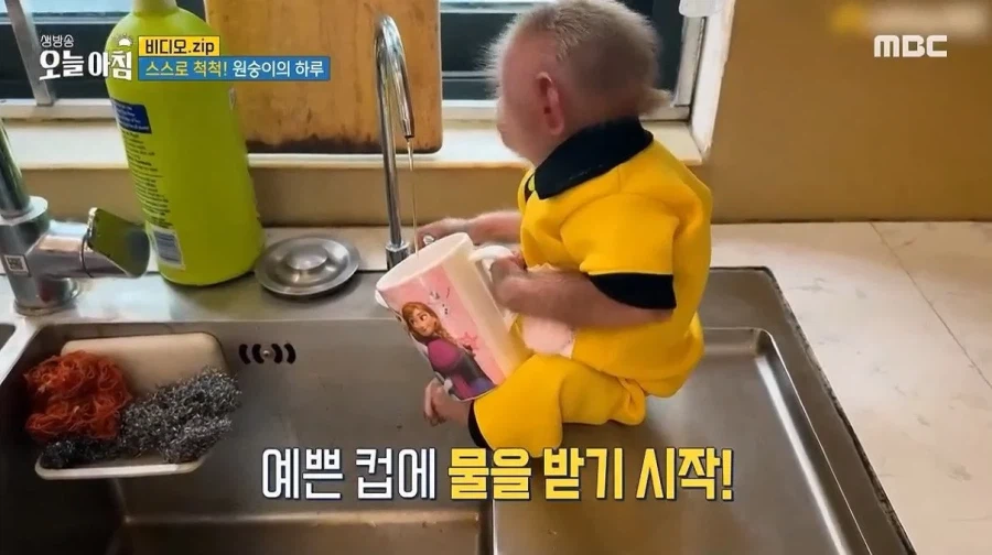 상위 1% 원숭이_10.webp