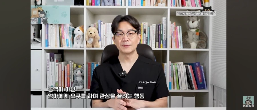 고양이가 집사를 