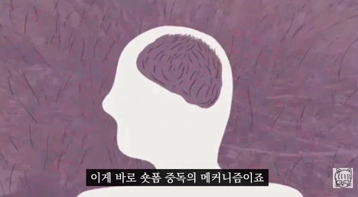 숏폼 중독이 무서운 뇌과학적 이유_15.webp