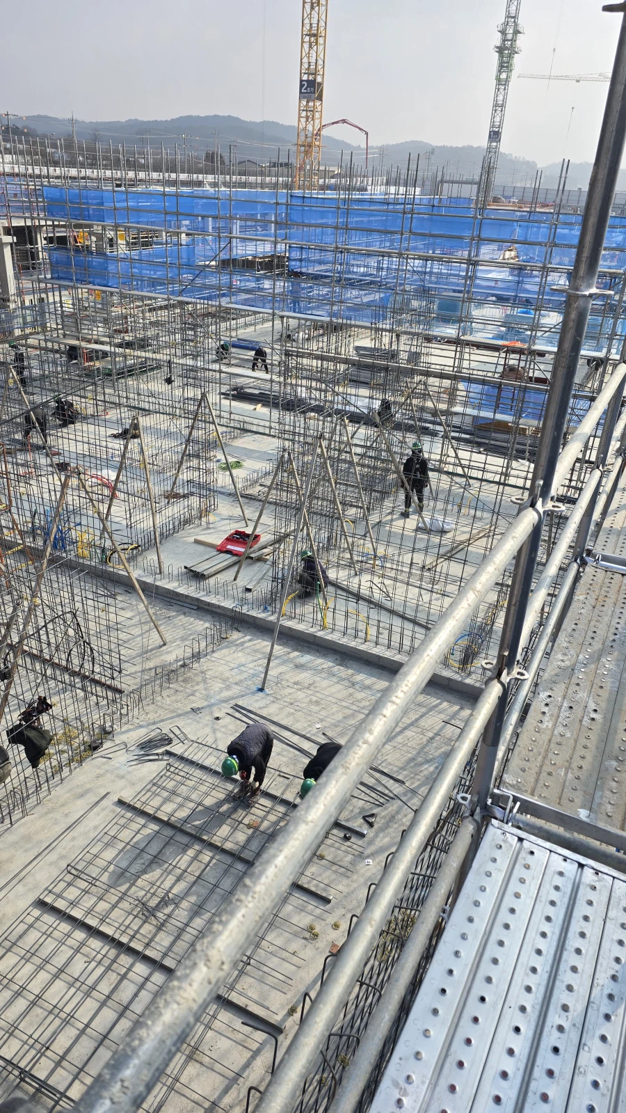 므흐흐 오늘 현장 나오지 말래_3.webp